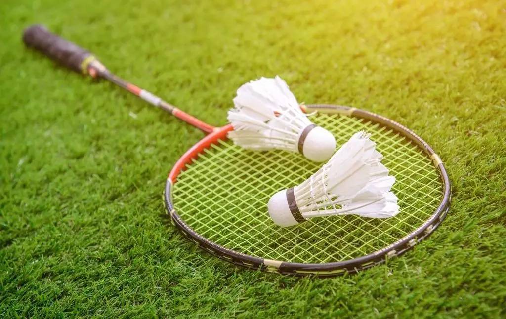 免费查阅啦 免费查阅啦